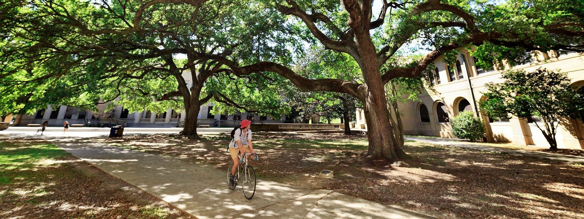 "Wherever you go becomes a part of you somehow" - Anita Desai