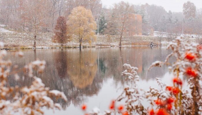 “The cold was our pride, the snow was our beauty.” — F. Scott Fitzgerald ('Wiinter Dreams' 1922)