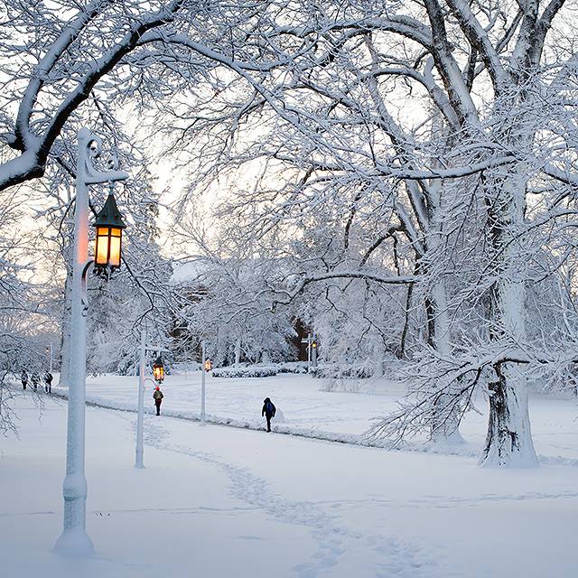 Nature never jests. —Albrecht von Haller, 1751